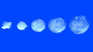 "Надувная" таблетка позволит наблюдать за организмом пациента изнутри целый месяц