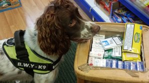 На слишком успешную полицейскую собаку устроили охоту с вознаграждением