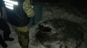 В Новгородской области восьмилетний школьник утонул в канализационной яме