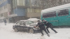 В Кишиневе полицейские помогали гражданам при расчистке снега (видео)