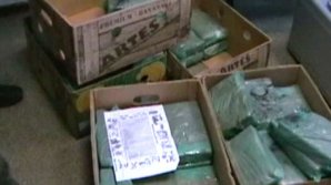 В Петербург пришел контейнер с кокаином в бананах