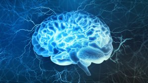 Ученые объяснили, почему с возрастом время течет быстрее