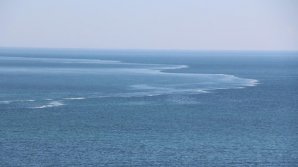 У берегов США в море упал легкомоторный самолет