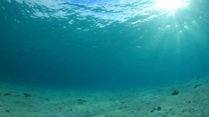 На дне океана найдена "биосферная бомба"