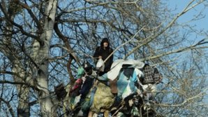 В Киеве пенсионер три года живет на дереве