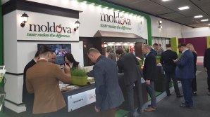 Молдавские фрукты представлены на выставке Fruit Logistic в Берлине
