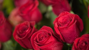 Восьмилетний школьник потратил все карманные деньги на розы для 68 сверстниц