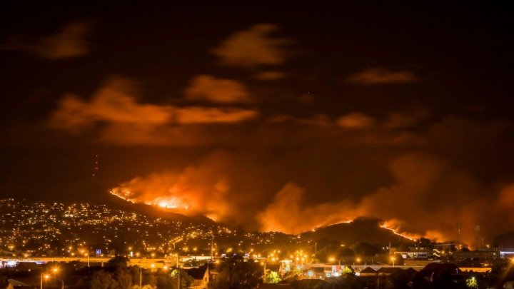 В Новой Зеландии начался масштабный лесной пожар