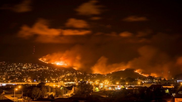 Во Франции начались лесные пожары из-за сильной жары