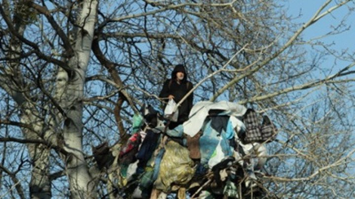 В Киеве пенсионер три года живет на дереве