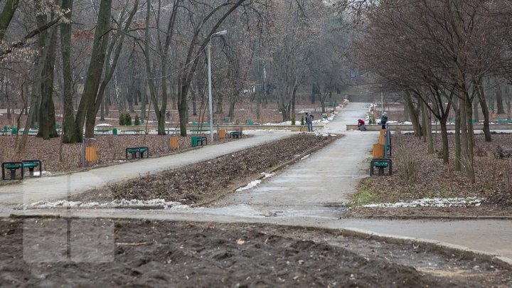 Мэрия выделила на реконструкцию парка "Алунелул" пять миллионов леев