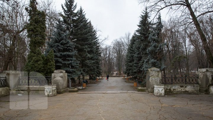 В столичном парке "Alunelul " планируют большую перестройку