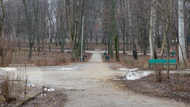 В столичном парке "Alunelul " планируют большую перестройку