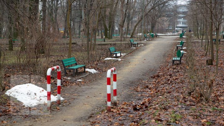 В столичном парке "Alunelul " планируют большую перестройку