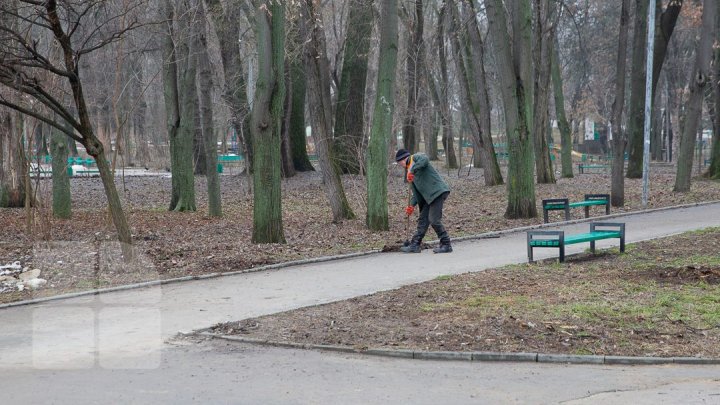 В столичном парке "Alunelul " планируют большую перестройку