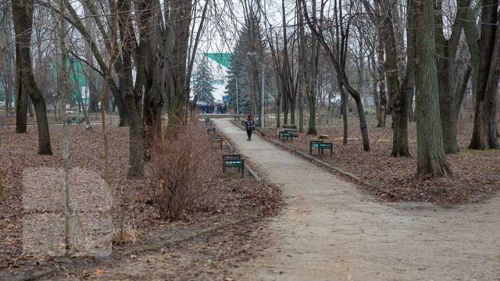 В столичном парке "Alunelul " планируют большую перестройку