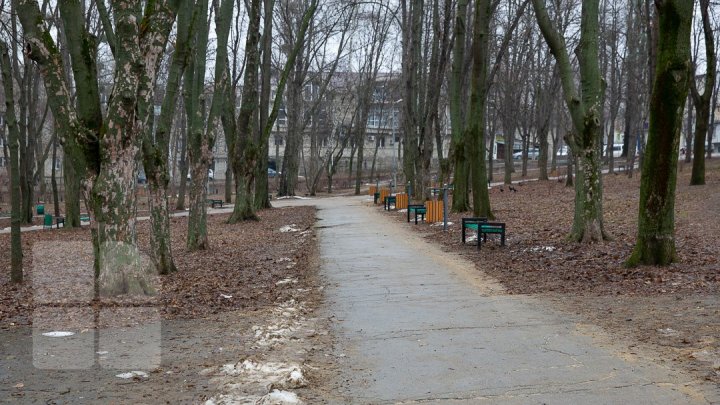 В столичном парке "Alunelul " планируют большую перестройку