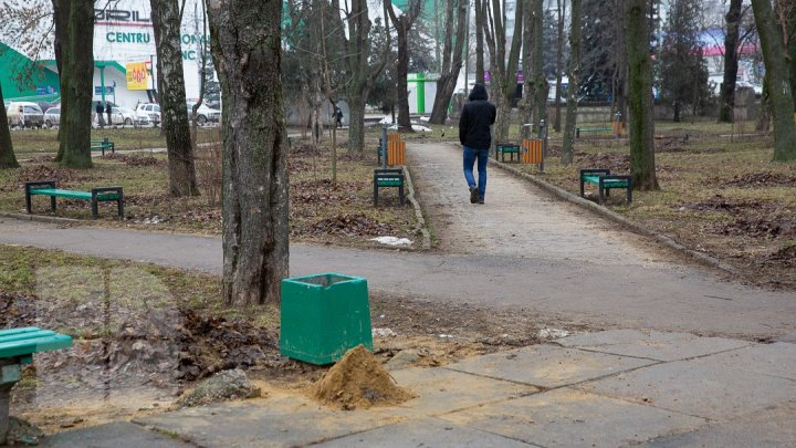 В столичном парке "Alunelul " планируют большую перестройку