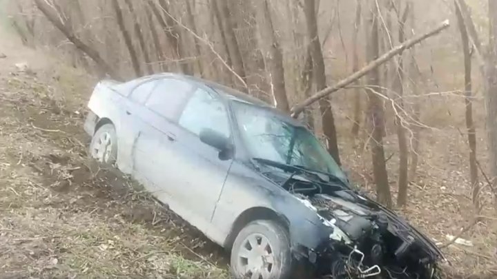 Авария на Чеканах: автомобиль вылетел в кювет и врезался в дерево (видео) 