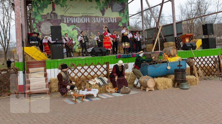 Праздник Святого Трифона, покровителя виноделов и садоводов, отметили в Тараклии (фото)