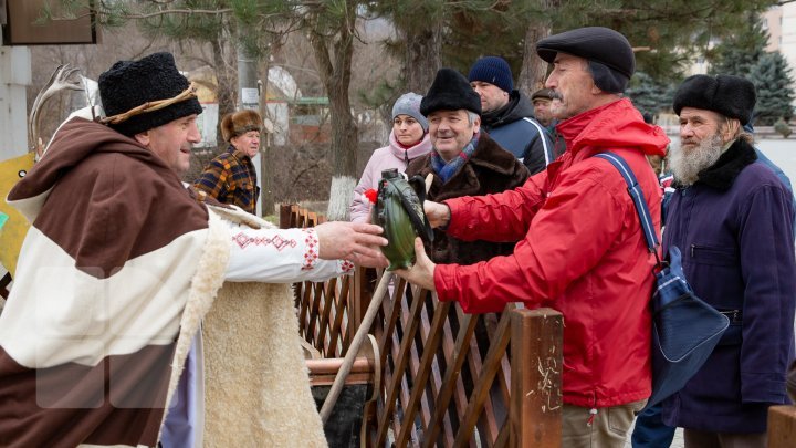 Праздник Святого Трифона, покровителя виноделов и садоводов, отметили в Тараклии (фото)