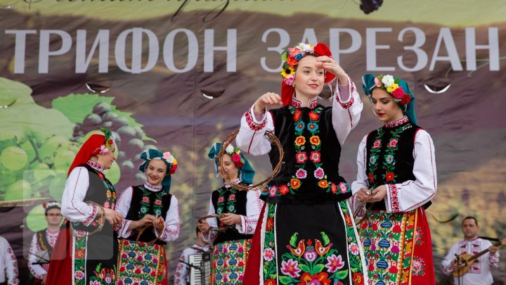 Праздник Святого Трифона, покровителя виноделов и садоводов, отметили в Тараклии (фото)