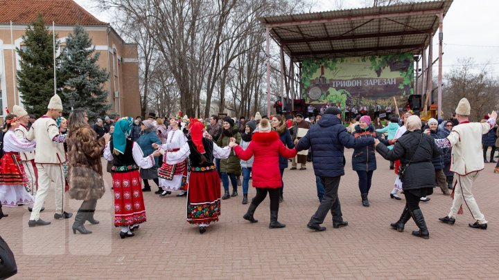 Праздник Святого Трифона, покровителя виноделов и садоводов, отметили в Тараклии (фото)