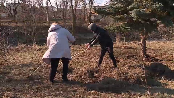 Жители Новых Анен вышли на генеральную уборку городского парка