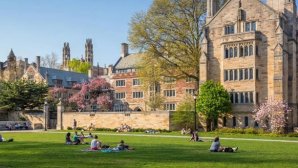 Йельского студента исключили за взятку в $1,2 миллиона