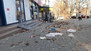 Желтый код метеоопасности в связи с ветром действует по всей стране