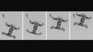 Четвероногие микроботы для доставки лекарств будут гулять по телу человека