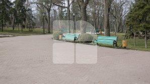 В Кишиневе началась большая весенняя уборка: коммунальщики приводят в порядок город