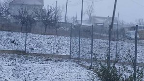 На севере и в центре страны этой ночью и утром шел снег