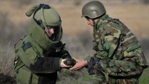 В поле близ села Марьянка де Жос в районе Штефан-Водэ саперы обнаружили 234 снаряда (фото)