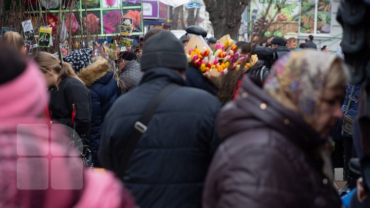 Ажиотаж на цветочных рынках столицы: мужчины спешат поздравить женщин с праздником (фото)