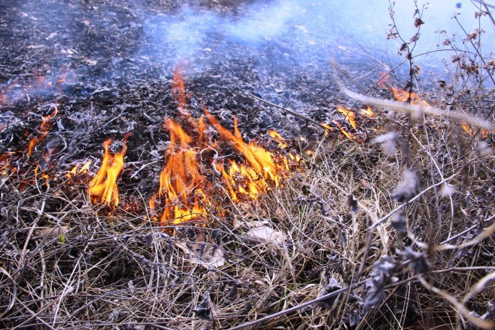 За последние 24 часа пожарные остановили 76 очагов возгорания в Молдове (фото)