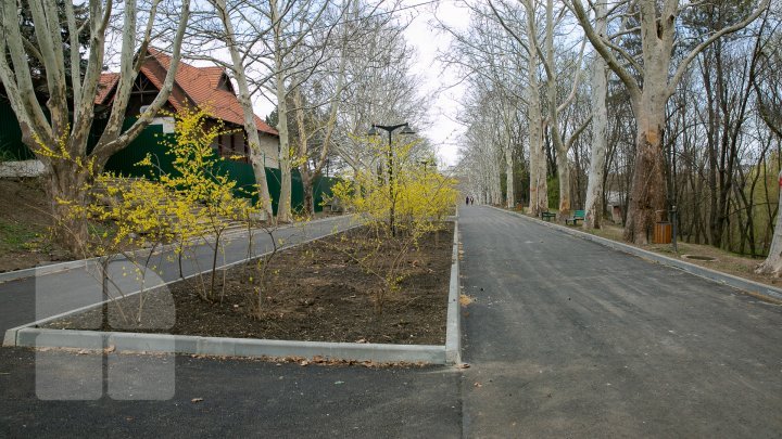 Фонтан в столичном парке Долина роз станет пешеходным