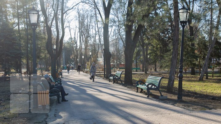 В центральном парке столицы сегодня раздавали мэрцишоры (фото)