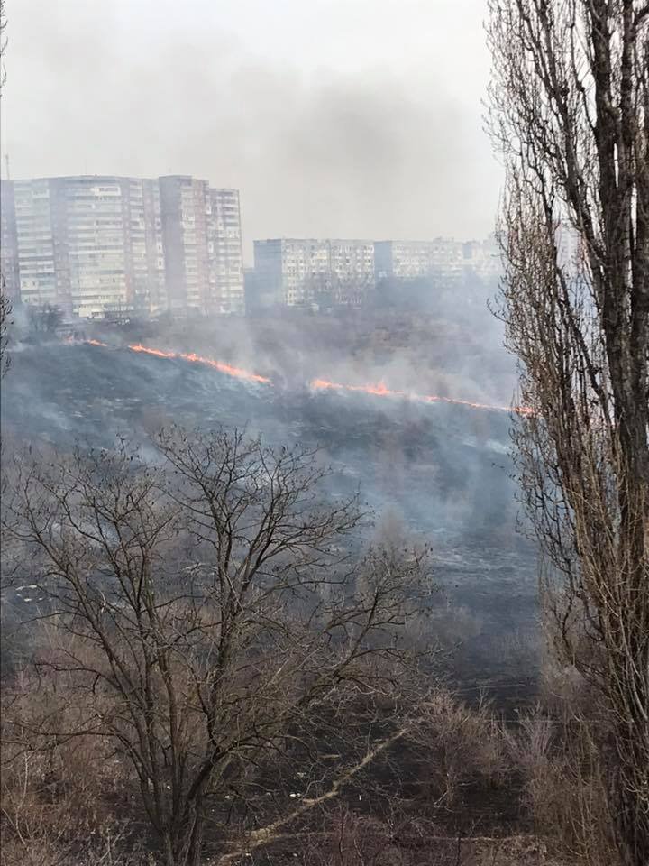 На Ботанике горят поля: несколько машин на парковке пострадали (фото/видео)