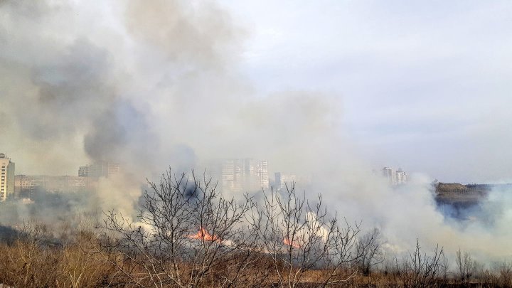 На Ботанике горят поля: несколько машин на парковке пострадали (фото/видео)