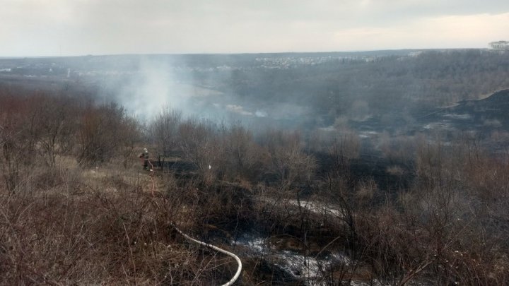 За последние сутки в Молдове более 390 га земли были охвачены огнем (фото)