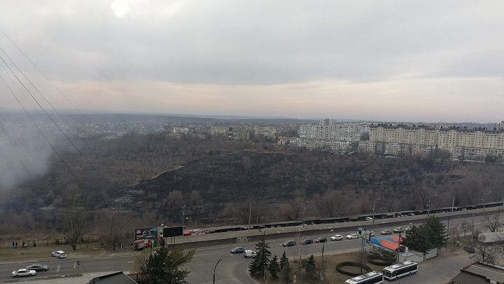 На Ботанике горят поля: несколько машин на парковке пострадали (фото/видео)