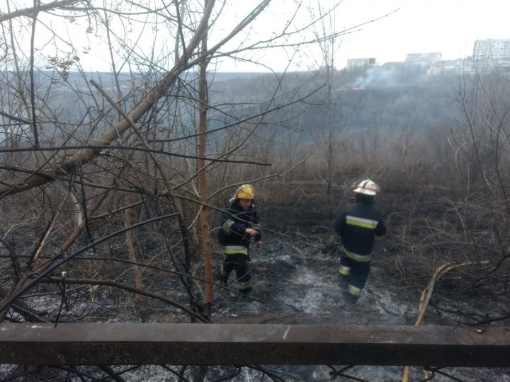 За последние сутки в Молдове более 390 га земли были охвачены огнем (фото)