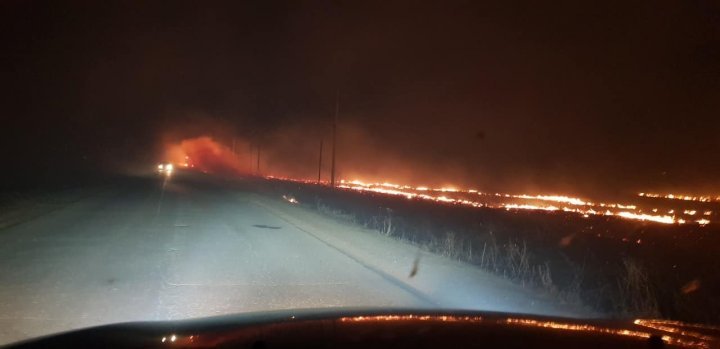 Растительный пожар вспыхнул вблизи таможни Скулень (фото)