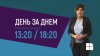 "День за днем": Борьба с вредными насекомыми и грызунами в жилых домах