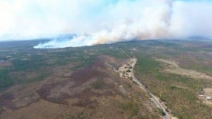 Масштабный пожар из Беларуси надвигается в Украину