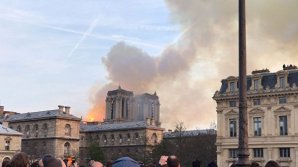 Прокуратура начала расследование из-за пожара в соборе Парижской богоматери