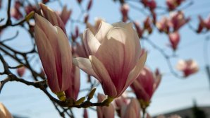 Прогноз погоды на 5 апреля