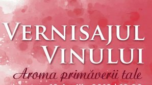 На столичном Вернисаже вин было представлено свыше 300 сортов вина