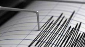 Землетрясение магнитудой 5,0 произошло близ грузино-армянской границы